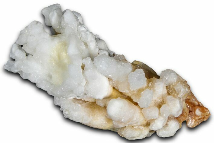 Sparkling Calcite/Aragonite Stalactite Formation - China #364538
